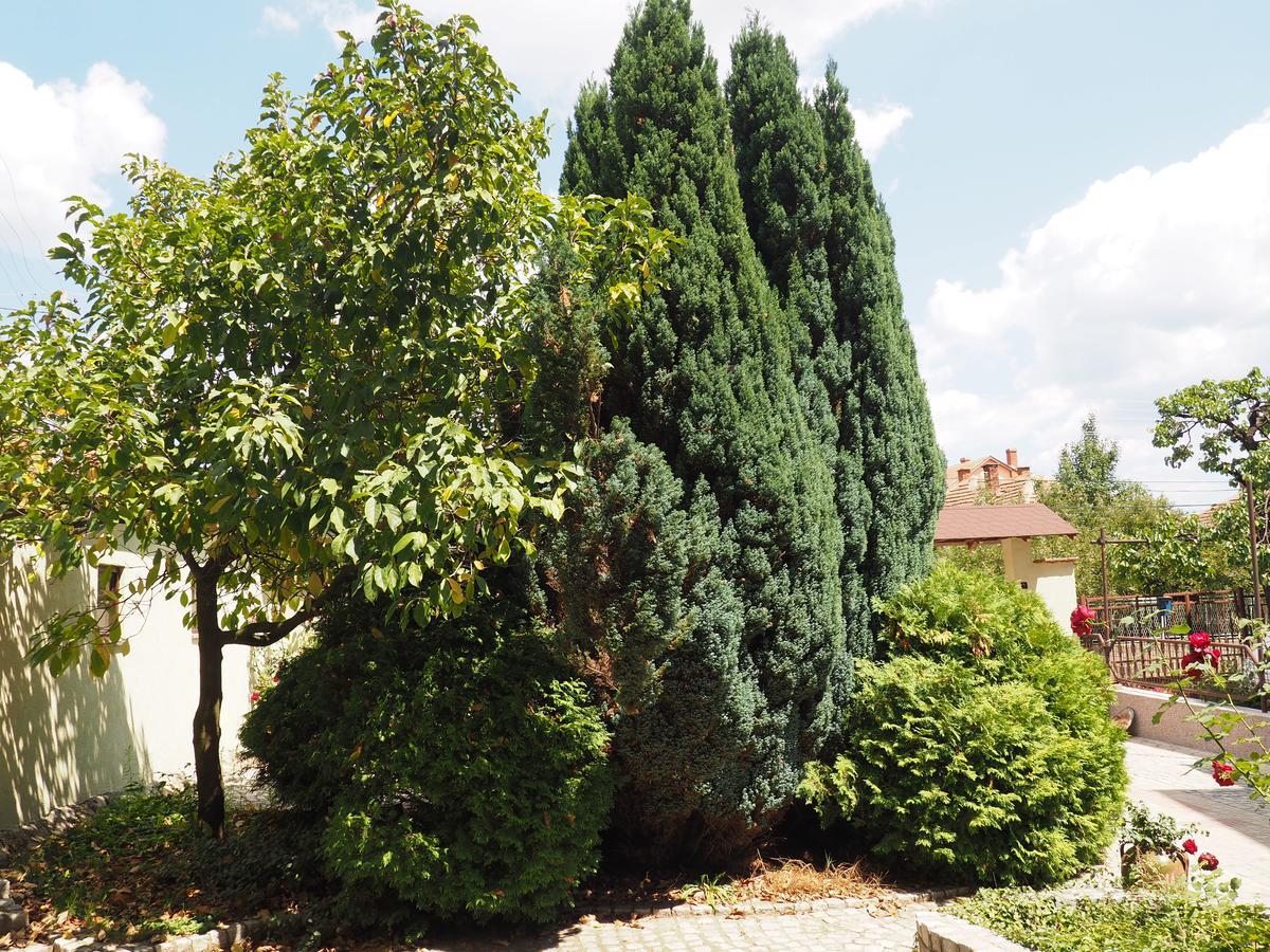 Guest House Stefanovic Vranje Buitenkant foto