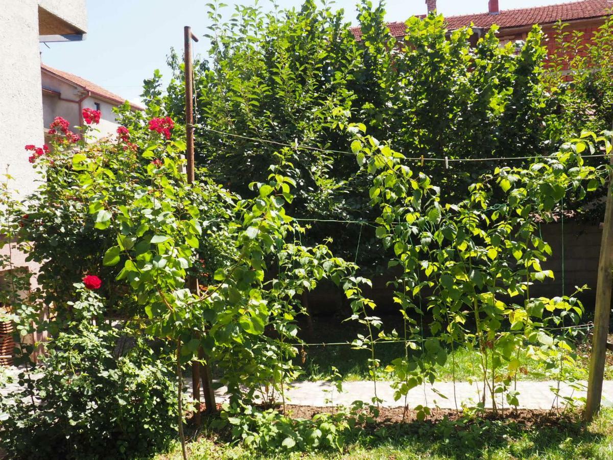 Guest House Stefanovic Vranje Buitenkant foto